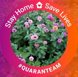 Meet your Posher, Mary ann